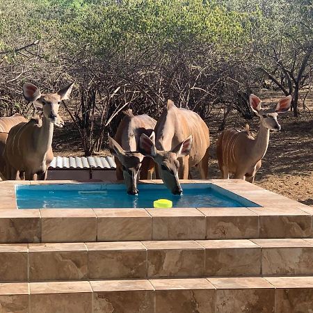 マールロス・パーク Impala Lilyヴィラ エクステリア 写真