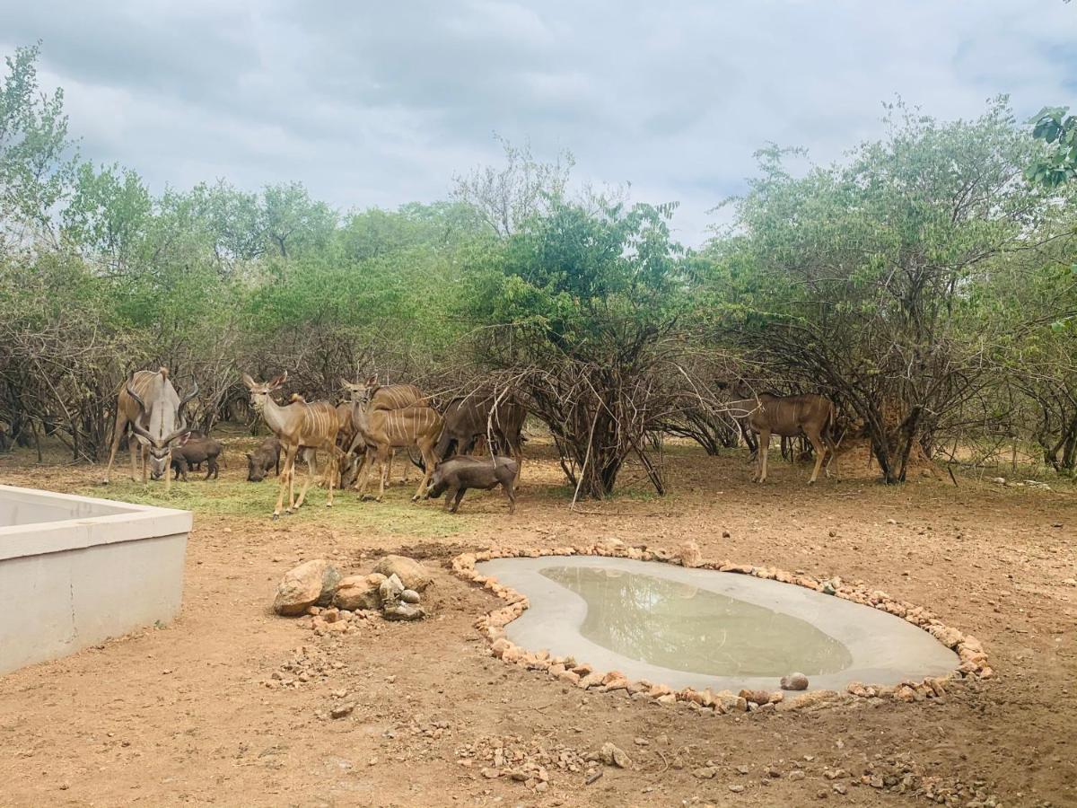 マールロス・パーク Impala Lilyヴィラ エクステリア 写真