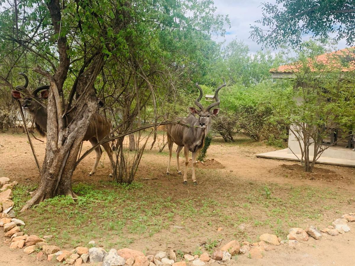 マールロス・パーク Impala Lilyヴィラ エクステリア 写真